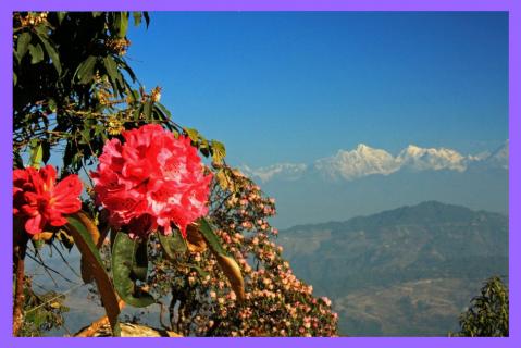 Bild 5 zur Urlaubsidee »Nepal Pilger-Trekking zur Berggöttin Kalinchok zum August-Vollmond / Langtang-Helambu-Region«