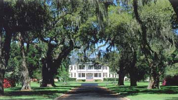 Bild 1 zur Urlaubsidee »Litchfield Plantation, South Carolina«