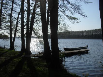 Bild 14 zur Urlaubsidee »Urlaub auf der Müritz - Hausboot Forelle«