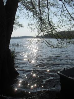 Bild 12 zur Urlaubsidee »Urlaub auf der Müritz - Hausboot Forelle«