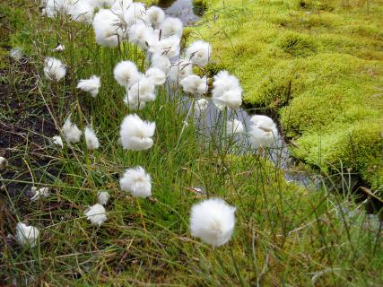 Bild 5 zur Urlaubsidee »Island - Der große Graben - Wanderreise«