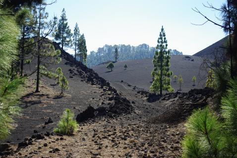 Bild 3 zur Urlaubsidee »Teneriffa - Trekking-Tour zum Pico del Teide (3.1719 m)«