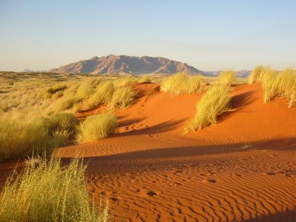 Bild 6 zur Urlaubsidee »Wandern im NamibRand Nature Reserve, Namibia «