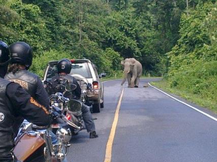 Bild 9 zur Urlaubsidee »KULTURELLER MOTORRAD URLAUB IN THAILAND  " LAND DES LÄCHELNS"  NORD TOUR«